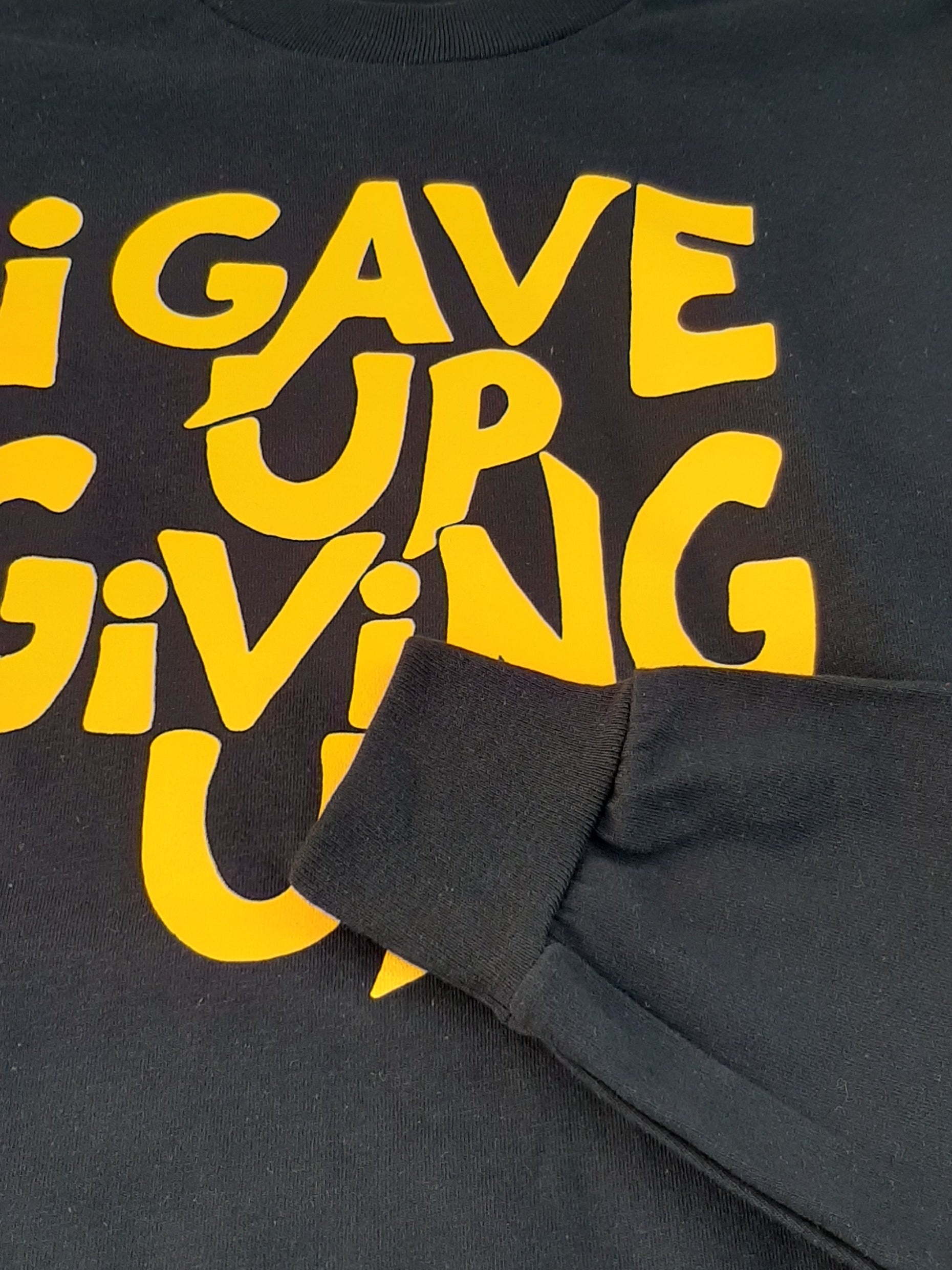 I Gave Up Giving Up Tee Tshirt