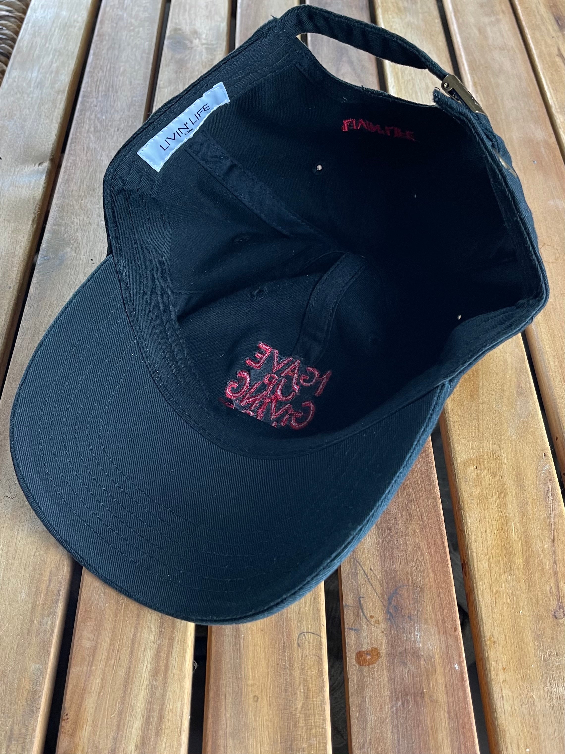 I Gave Up Giving Up Hat